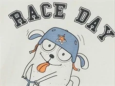 Name It jet stream/race day loose top